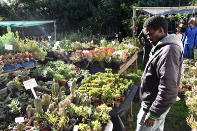 visiting Home Grown Nursery